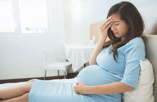 求孕在线观看,揭秘生育路上的温馨陪伴与科学指导 第2张 求孕在线观看,揭秘生育路上的温馨陪伴与科学指导 第2张